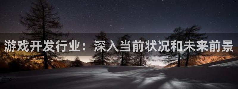 顺盈网络科技有限公司怎么样：游戏开发行业：深入当前状况和未来前景